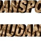 Imagem 3 da empresa A.R. TRANSPORTES E MUDANÇAS Mudanças em Curitiba PR