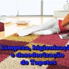 Imagem 2 da empresa ABIL LIMPEZA DE SOFÁ, CARPETES E TAPETES. Tapetes E Passadeiras - Limpeza em Curitiba PR