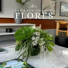 Imagem 4 da empresa AGAPANTHUS FLORICULTURA Floriculturas em Curitiba PR