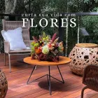 Imagem 6 da empresa AGAPANTHUS FLORICULTURA Floriculturas em Curitiba PR