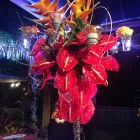 Imagem 1 da empresa ARTE FLORAL ARRANJOS ESPECIAIS Formaturas - Decoração em Florianópolis SC