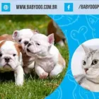 Imagem 3 da empresa BABY SHOP-PET SHOP Clínicas Veterinárias em Fortaleza CE