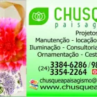 Imagem 7 da empresa BRASGRAF CARTÕES Panfletos em Resende RJ