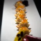 Imagem 2 da empresa BUFFET YANO Serviço de Buffet em São Paulo Brasil