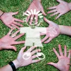 Imagem 7 da empresa CASA DO ADALTO Associações Beneficentes em Joinville SC