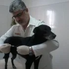 Imagem 5 da empresa CLÍNICA VETERINÁRIA GUARUVET Clínicas Veterinárias em Guarulhos SP