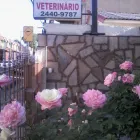 Imagem 8 da empresa CLÍNICA VETERINÁRIA GUARUVET Clínicas Veterinárias em Guarulhos SP