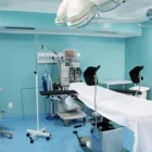 Imagem 1 da empresa DAY HOSPITAL SAUDE INTEGRADA VIDA Médicos de Endoscopia em Campinas SP