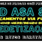 Imagem 2 da empresa DD INSETO - DEDETIZADORA E DESENTUPIDORA SP Ratos em São Paulo Brasil