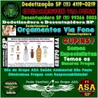 Imagem 4 da empresa DD INSETO - DEDETIZADORA E DESENTUPIDORA SP Ratos em São Paulo Brasil