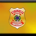 Imagem 1 da empresa DETETIVE FALCAO BRASIL Institutos de Investigação em Brasília DF