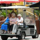 Imagem 2 da empresa DIGNUS ARTE DE VIVER Serviços Especiais em Rio De Janeiro RJ