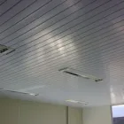 Imagem 3 da empresa DIVISÓRIAS E FORROS RA FAUSTINO - ME Revestimento Parede/Divisória em PVC em Guarulhos SP