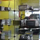 Imagem 4 da empresa ELETRÔNICA CASTRO Som - Aparelhos - Conserto em Goiânia GO