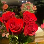 Imagem 2 da empresa ESALFLORES FLORICULTURA E GARDEN CENTER Floriculturas em Curitiba PR