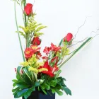 Imagem 5 da empresa FLORICULTURA EDEN GARDEN Floriculturas em Florianópolis SC