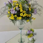 Imagem 6 da empresa FLORICULTURA EDEN GARDEN Floriculturas em Florianópolis SC