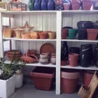 Imagem 8 da empresa FLORICULTURA EDEN GARDEN Floriculturas em Florianópolis SC