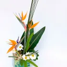 Imagem 1 da empresa FLORICULTURA EDEN GARDEN Floriculturas em Florianópolis SC