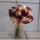 Imagem 7 da empresa FLORICULTURA PRISCILA FLORES Floriculturas em São Caetano Do Sul SP