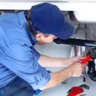 Imagem 6 da empresa FOX DEL SERVICE PORTARIA E LIMPEZA Zeladoria em São Paulo SP