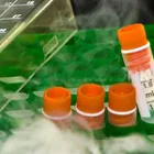 Imagem 1 da empresa GELO SECO GELOGAS Transporte em Campinas SP