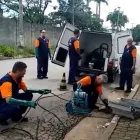 Imagem 8 da empresa HIDROSAMPA DESENTUPIDORA E DEDETIZADORA Rato em São Paulo Brasil