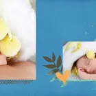 Imagem 2 da empresa INDIANE ARTE FOTOGRÁFICA Fotografias - Estúdios em Goiânia GO