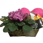 Imagem 5 da empresa OFICINA DE FLORES Floriculturas em São Paulo Brasil