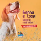 Imagem 6 da empresa PET SHOP HOBBY BICHOS Pet Shop em João Pessoa PB