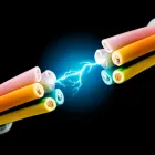 Imagem 3 da empresa PROTUS DO BRASIL SERVIÇOS TÉCNICOS INTEGRADOS Segurança em São Paulo SP