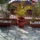 Imagem 2 da empresa RECANTO ALEGRE REPOUSO PARA IDOSOS Casas De Repouso em São Paulo SP