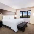 Imagem 43 da empresa SAO PAULO AIRPORT MARRIOTT HOTEL Hotéis em Guarulhos SP