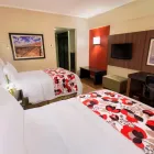 Imagem 50 da empresa SAO PAULO AIRPORT MARRIOTT HOTEL Hotéis em Guarulhos SP