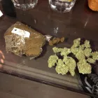 Imagem 1 da empresa SEEDSSHOP Telefones Celulares - Acessórios em Campinas SP