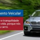 Imagem 3 da empresa SEGURYTEC SEGURANÇA Vigilância em Rio Branco Do Sul PR