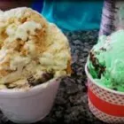 Imagem 1 da empresa SERGEL SORVETES Sorvetes - Fabricação em Campinas SP