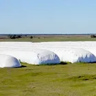 Imagem 2 da empresa SILOBOM Agropecuária em Natal RN
