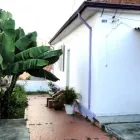 Imagem 1 da empresa SOGNATORI PER CASO quarteto de cordas para casamento em São Paulo Brasil