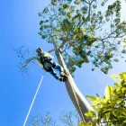 Imagem 7 da empresa TECH CLIMBING VERTICAL SOLUTIONS Pinturas Industriais em Caxambu MG