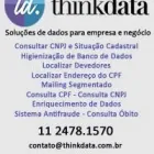 Imagem 1 da empresa THINK DATA Situação Cadastral em São Paulo Brasil
