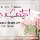Imagem 1 da empresa UNIFLORES Rosas em São Paulo Brasil