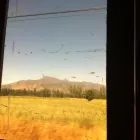 Imagem 2 da empresa VIP VAN TRANSPORTES Vans - Aluguel em Rondonópolis MT