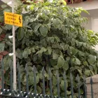 Imagem 70 da empresa VISÃO NOTURNA SEGURANÇA Condomínios em São Paulo Brasil