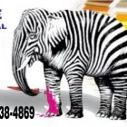 Imagem 1 da empresa WOLF PRODUÇÕES - GRÁFICA E COMUNICAÇÃO VISUAL Panfletos em Santo André SP