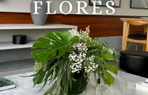 Imagem 4 da empresa AGAPANTHUS FLORICULTURA Floriculturas em Curitiba PR