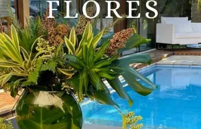 Imagem 5 da empresa AGAPANTHUS FLORICULTURA Floriculturas em Curitiba PR