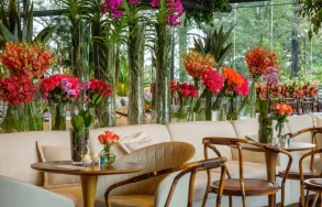 Imagem 2 da empresa CHILFLOR FLORICULTURA Floriculturas em Curitiba PR