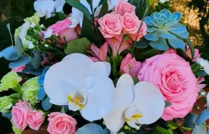 Imagem 4 da empresa CHILFLOR FLORICULTURA Floriculturas em Curitiba PR