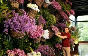 Imagem 7 da empresa CHILFLOR FLORICULTURA Floriculturas em Curitiba PR